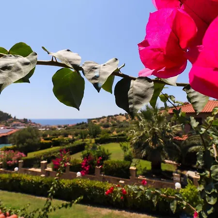 Blue Dream Villa Nea Skioni